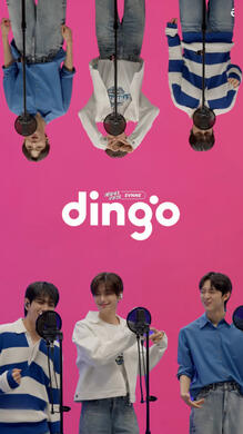 Dingo Music